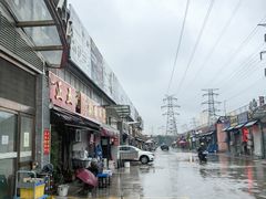 -中环花鸟鱼虫市场