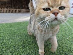 -李叔同故居纪念馆