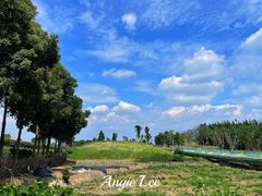 -白鹭湾湿地公园