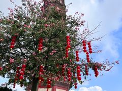 -广州莲花山旅游区