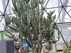 -北京植物园-展览温室