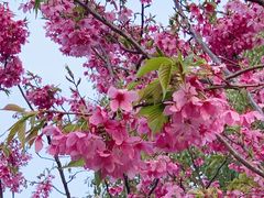 -梁鸿国家湿地公园