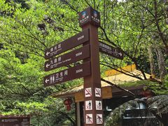 -赤水丹霞旅游区·佛光岩