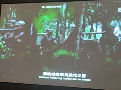 -天禧影院式足道·SPA(梅林店)