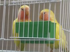 -山东嘉汇文化用品有限公司张店凤凰国际分公司(新村西路店)