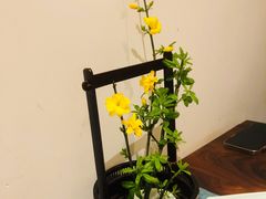 -梅间堂茶馆(绿地缤纷城店)