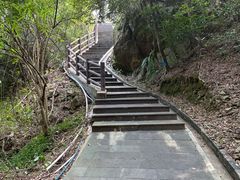 -羚羊峡古栈道森林公园