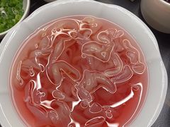 -蜀九香火锅(彩虹店)