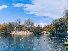 -宗角禄康公园