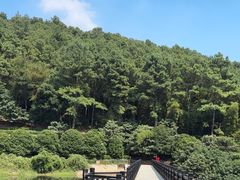 -九龙潭景区