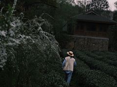 -中国茶叶博物馆(双峰馆区)