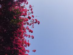 -小南山公园