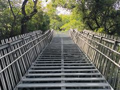 -福道