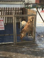 -萌宠亲子动物乐园(槐房万达店)