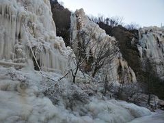 -大连天门山国家森林公园