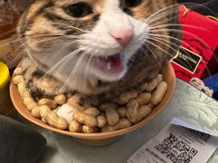 -新荟城(望京店)