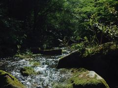 -洋湖沟