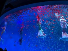 -合肥海洋世界