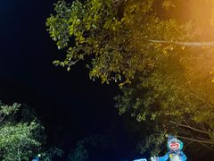 -广州长隆国际大马戏