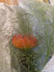 -今日陶艺(富力广场店)