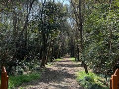 -动邦皮划艇·桨板·独木舟·团建户外运动俱乐部