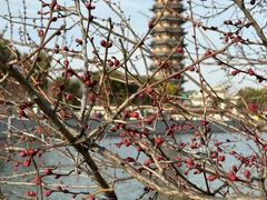 -葛仙湖公园
