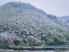 -四明山国家森林公园