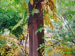 -北京西山国家森林公园