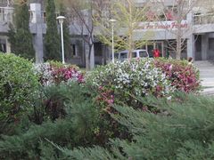 -辽宁大学(崇山校区)