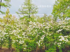 -白塘生态植物园