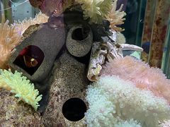 -太平洋海底世界