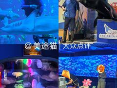 -太平洋海底世界