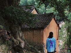 -杨家堂村