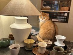 -Silly Dog Coffee(滨江店)