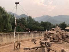 -西安秦岭野生动物园