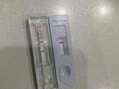 -伟伟宠物医院·CT影像中心·瑞派犬猫综合性门诊(汉口总院)