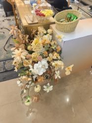 -四川娇点医学美容医院