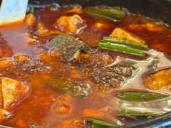 -陈麻婆豆腐总店