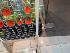 -绿茶餐厅(滨海万达广场店)