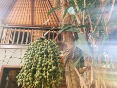 -三亚湾海居铂尔曼度假酒店