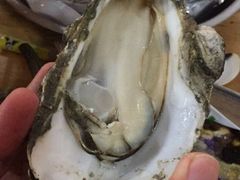 -八一湛江生蚝(文明东路总店)