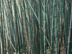 -敬亭山风景名胜区