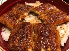 柴藤流鳗鱼饭-本家 柴藤