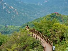 -大岭沟猕猴桃谷风景区
