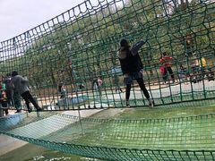 -广东茂名森林公园