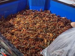 -百佳华佳漾里(坂田店)