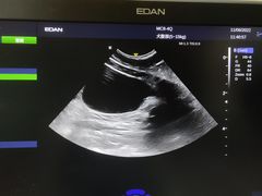 -关爱动物医院·心脏·中兽医·异宠(金牛路分院)