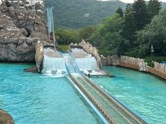-珠海长隆海洋王国