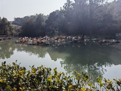 -宁波野生动物园