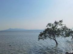 -深圳湾公园(南山区)